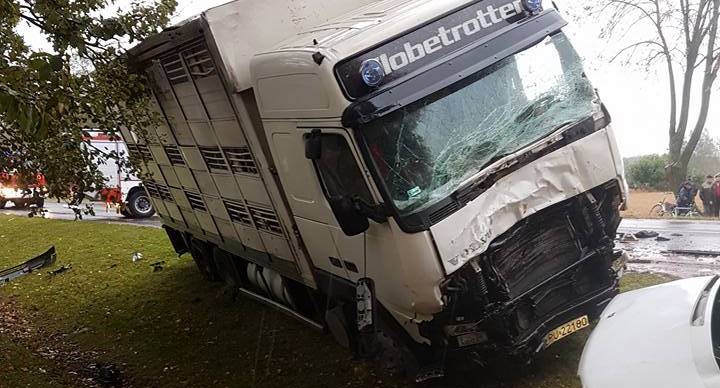 Zderzenie busa z ciężarówką – zginęły dwie osoby